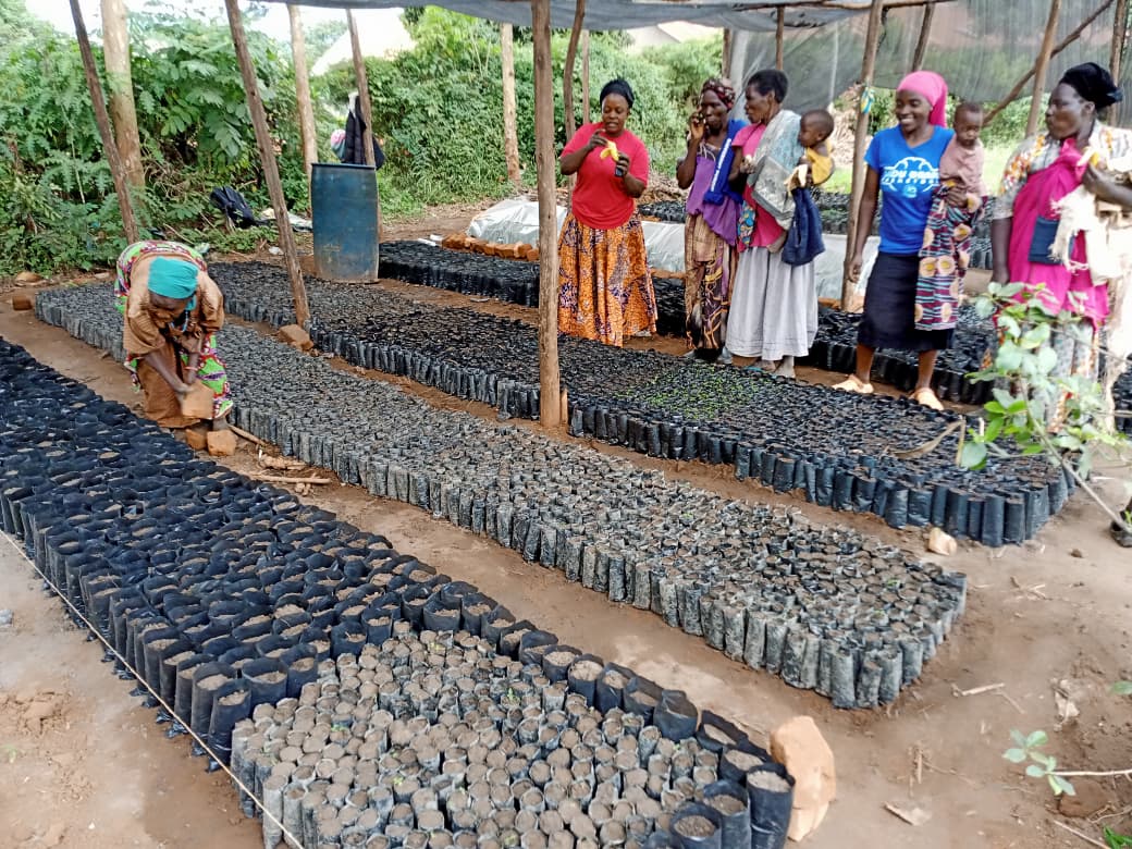 Social Seed Uganda